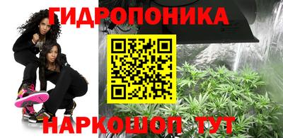 марки lsd Заводоуковск