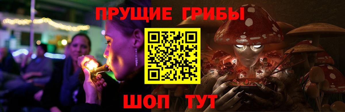 Карабулак  Галлюциногенные грибы MAGIC MUSHROOMS  Вход с VPN 